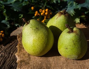 pears-5641474_640.jpg